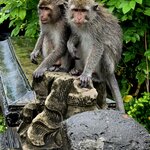 Photo taken by Nancy P