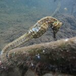 Photo taken by Elise C