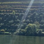 Photo taken by Dee C