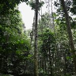 Photo taken by Anil C