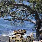 Photo taken by Linnaea M