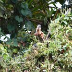 Photo taken by William R