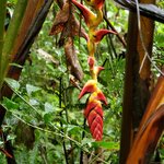 Photo taken by Garritt V