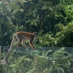 Photo taken by Karen P