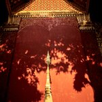 Photo taken by Steve B