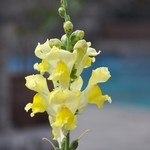 - | Photo taken by Karen W