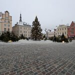 Photo taken by Anna P