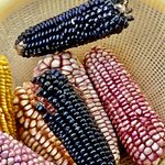 Photo taken by Nancy L