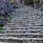 Photo taken by Stephen B