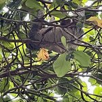 Photo taken by Julie G