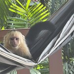 Photo taken by Hannah S