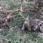 Photo taken by Virginia H