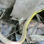 Photo taken by Brett F