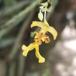 Photo taken by Kathy K