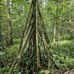 Photo taken by Peter F