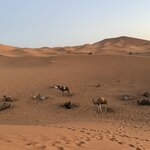 Photo taken by Pam L