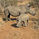 Photo taken by Paul B