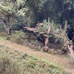 Photo taken by Dani M