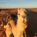 Photo taken by Hilda S