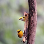 Photo taken by Jayme B