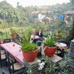 Photo taken by Greg C