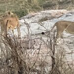 Photo taken by Glicelda B