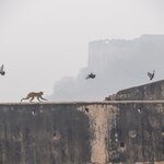 Photo taken by Kristy P