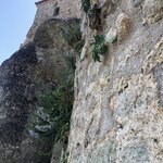 Photo taken by Lori H