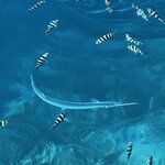 Photo taken by Judith D