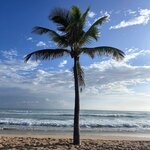 Photo taken by Alexandre M