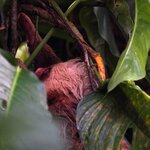 Photo taken by Kelly C