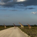 Photo taken by Peter L