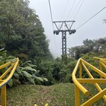 Photo taken by Diane S