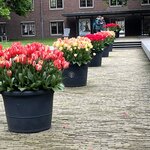 Photo taken by Stacey R