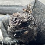 Photo taken by Randy H