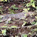 Photo taken by Rob C