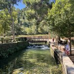 Photo taken by Darlene S