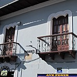 Photo taken by Marcia G