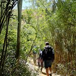 Photo taken by David M