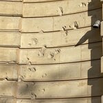 Photo taken by Kristin S