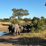 Photo taken by Chris K