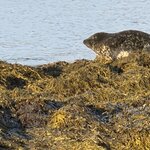 Photo taken by Donn S