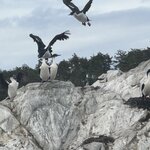 Photo taken by Donna R