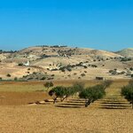 Photo taken by Raelene S