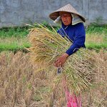 Photo taken by Laurence S