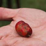 Photo taken by Erika P