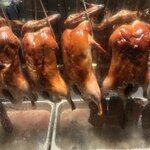 Photo taken by Katie E