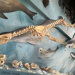 Photo taken by Yelena L