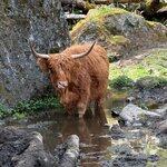 Photo taken by Valerie P