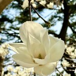 Photo taken by Laura W